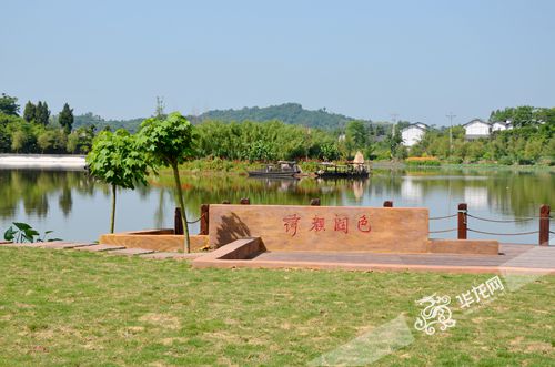 爱莲湖湿地公园清波渺渺,荷香淡淡,风景优美.记者 李黎 摄