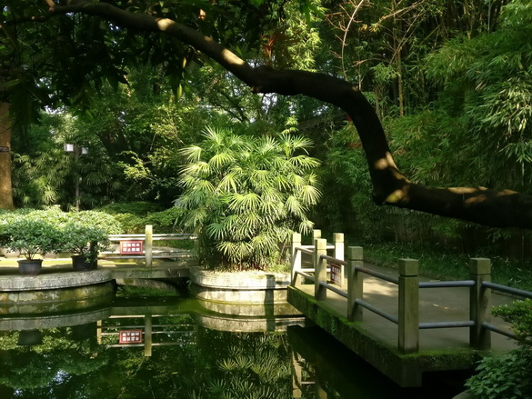 重庆鹅岭公园之夏