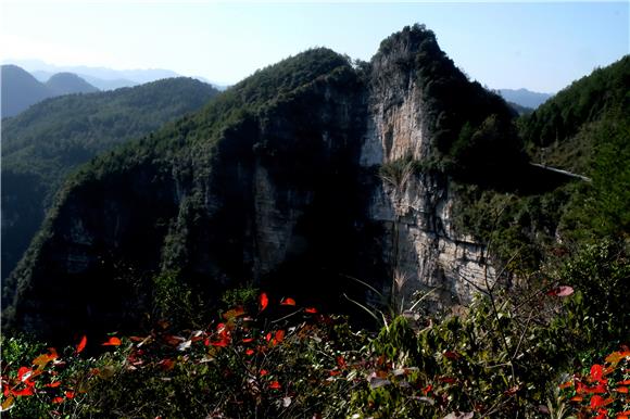 长溪沟位于重庆酉阳自治县后坪乡乌江画廊的荔枝峡左岸,方圆上百里.