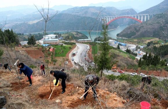 今日绿化荒坡500亩. 巫山县委宣传部供图