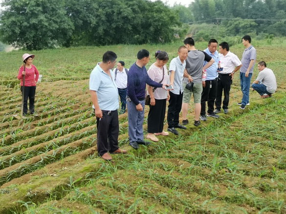 组织大足区龙水镇盐河社区开展乡村振兴现场观摩学习暨党建活动