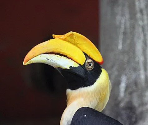 IMG_1054_副本.jpg