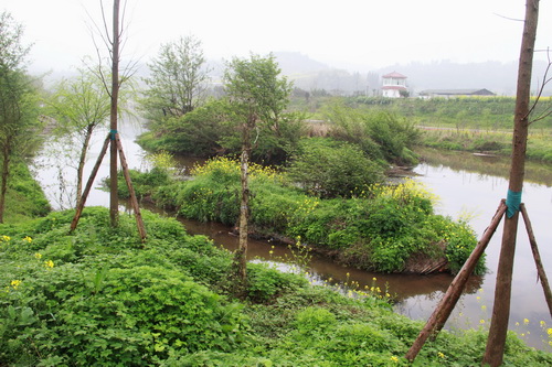 合川南溪河湿地公园建成游客可体验乡村慢生活