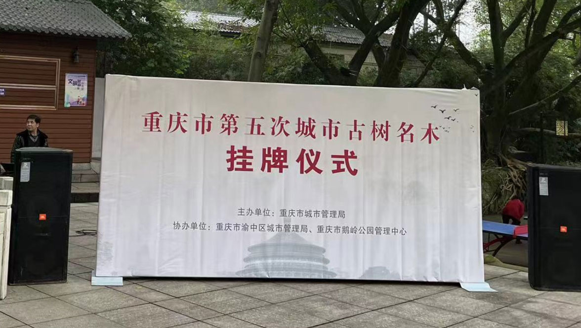 标题：3572株！重庆第五次城市古树名木普查结果发布时间：2022-1-6