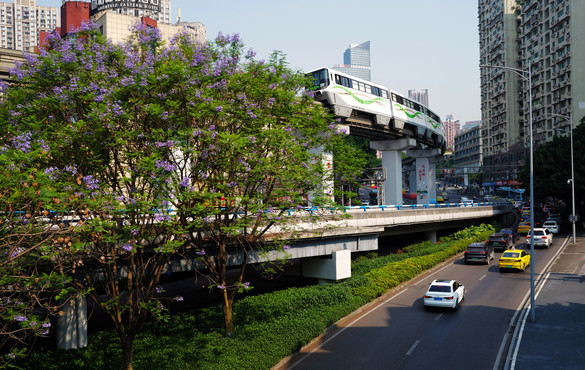L1000119-1.jpg