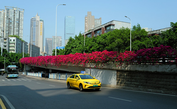 L1000138.-1jpg.jpg