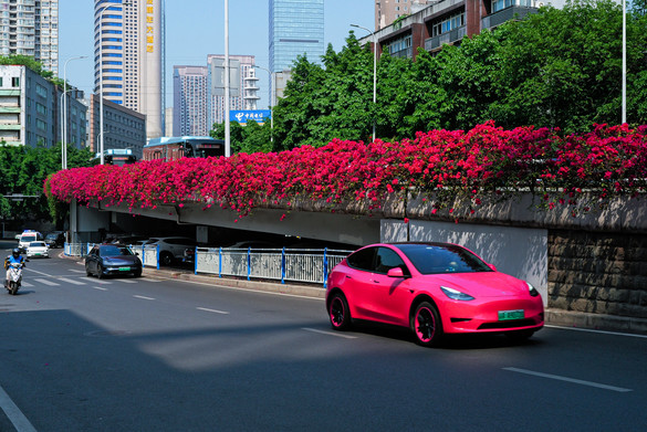 L1000139-1.jpg