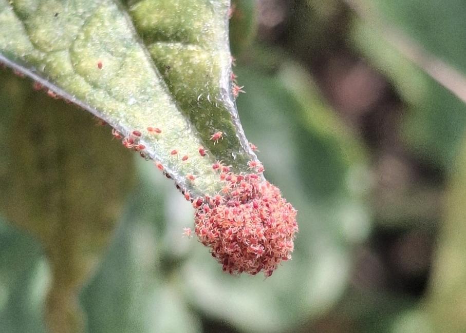 图片1.jpg 图片1.jpg