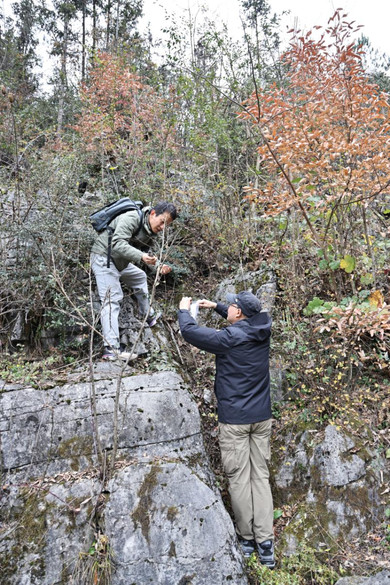 图片 3.jpg 图片 3.jpg