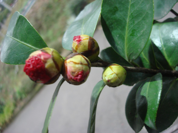 图片 2.jpg 图片 2.jpg