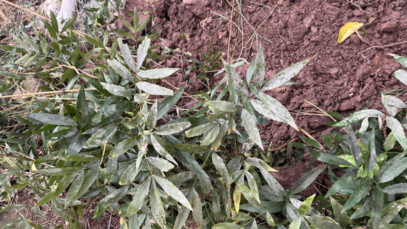 图片 1.jpg 图片 1.jpg