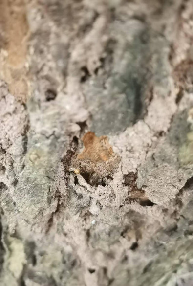 图片 1.jpg 图片 1.jpg