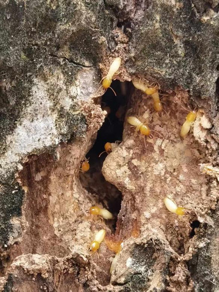 图片 2.jpg 图片 2.jpg