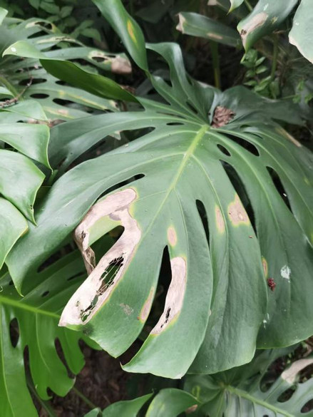 图片 1.jpg 图片 1.jpg