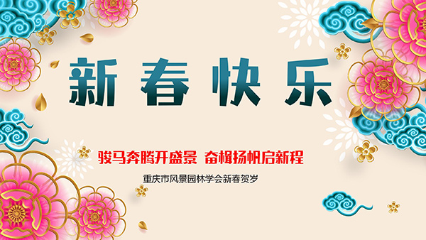 ���⣺�����´�ʱ�䣺2026-2-12