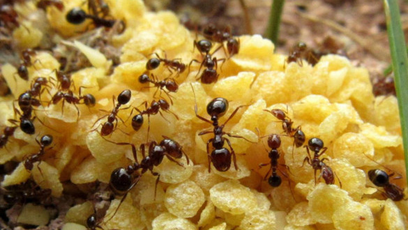 ���⣺�������ѣ������̵ط��ֺ���ϣ���ݡ�����ָ�ϡ����պ�ʱ�䣺2026-3-13