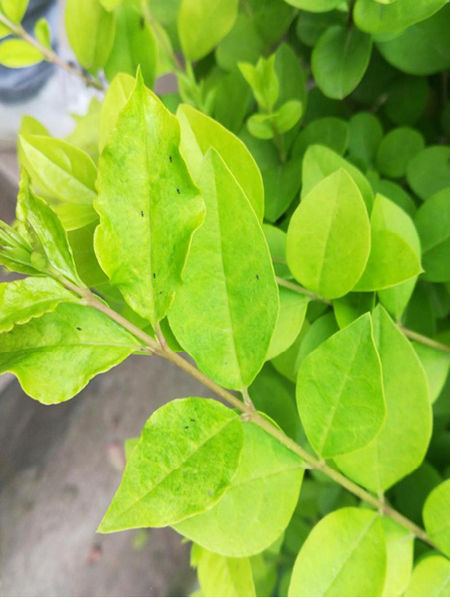 044.jpg