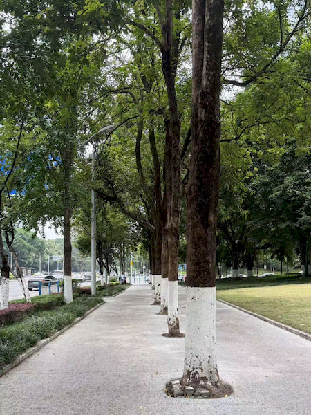 图片 1_结果.jpg 图片 1_结果.jpg