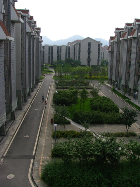 重庆大学虎溪校区风景 搞笑图片